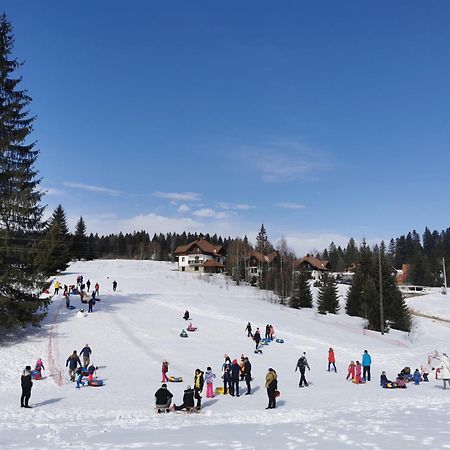 Apartmani Suncani Breg Tara Mitrovac Zewnętrze zdjęcie