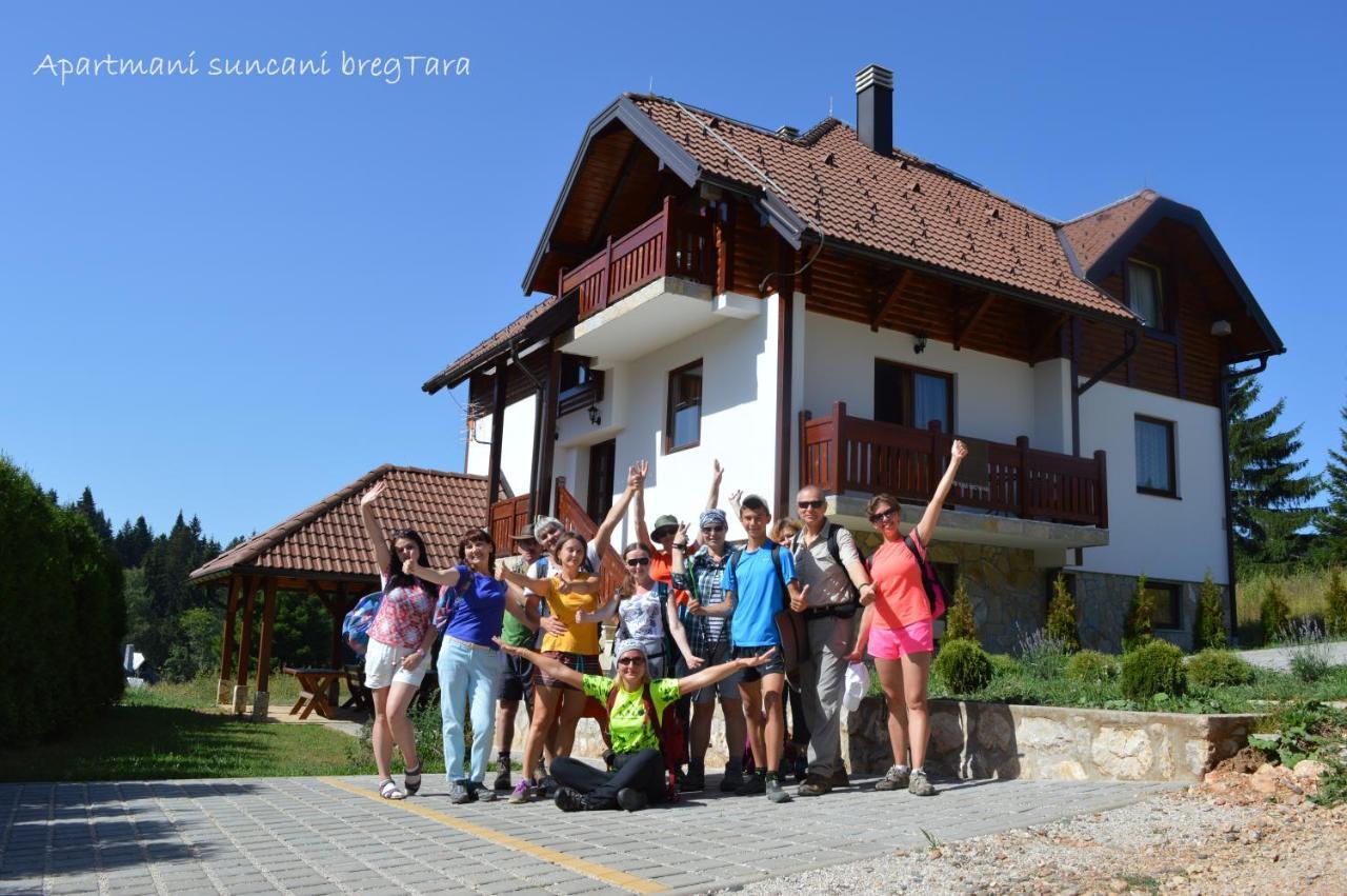 Apartmani Suncani Breg Tara Mitrovac Zewnętrze zdjęcie